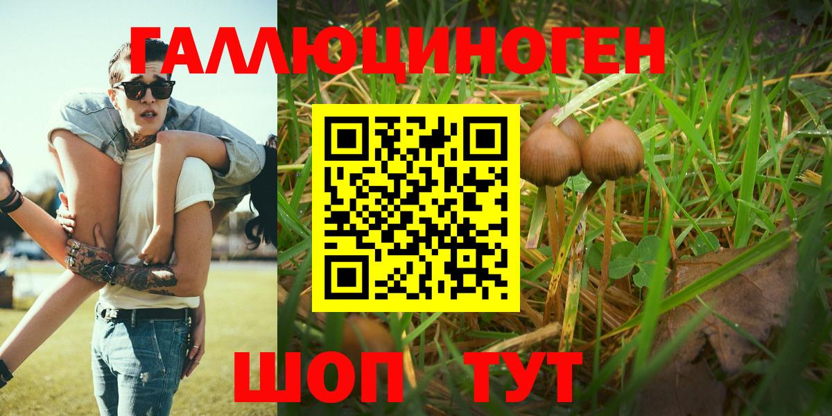 Псилоцибиновые грибы Cubensis  Псилоцибиновые грибы мицелий  Вход с VPN  Оренбург 